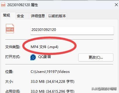 mp4文件格式视频怎么制作（手机视频转换成mp4的软件）