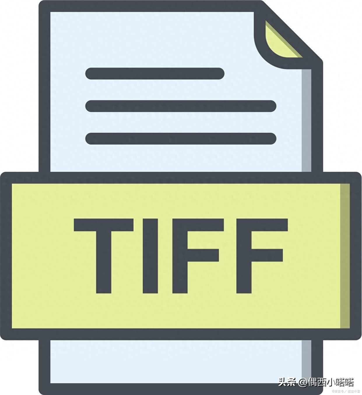 tif格式图片用什么软件打开（手机上能打开tif的软件）