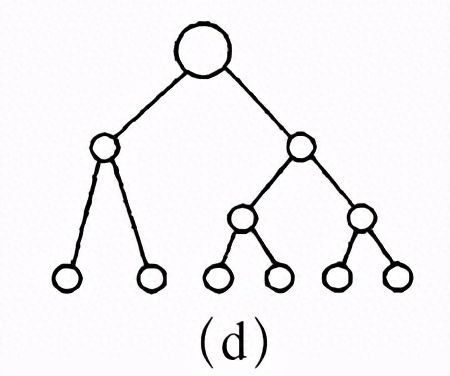 计算机网络的组成包括哪几个部分（网络基础知识入门及重点知识总结）