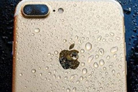 苹果手机掉水里没有声音了怎么处理（手机进水屏幕失灵了怎么办?）
