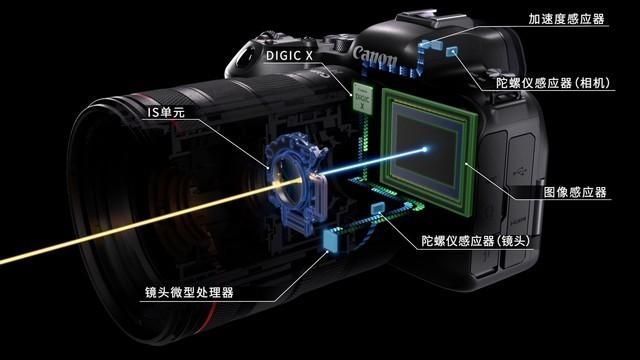 索尼数码相机系列推荐及拍摄效果分析（画质+防抖技术）