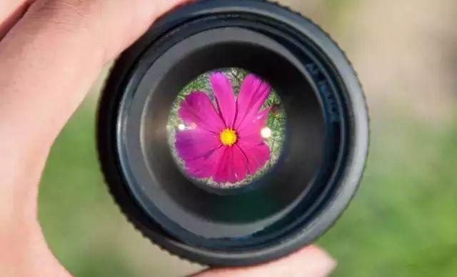 什么是微距镜头？它的特点及使用技巧分享
