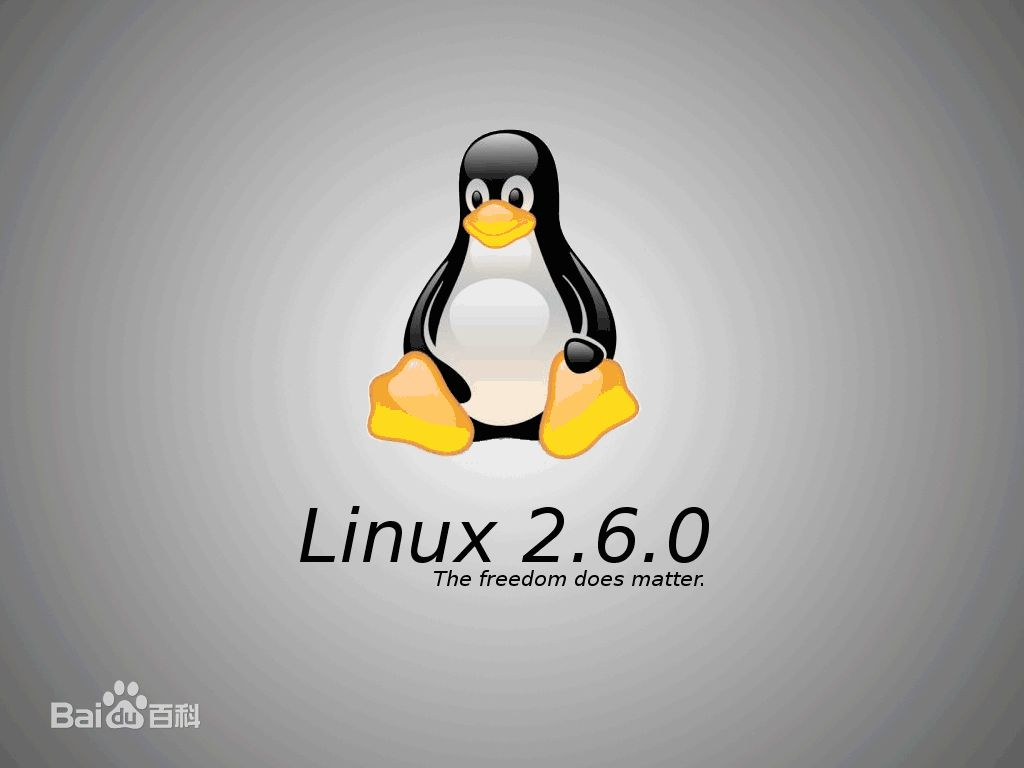 linux系统常用命令大全（10条必学的系统基础操作命令）